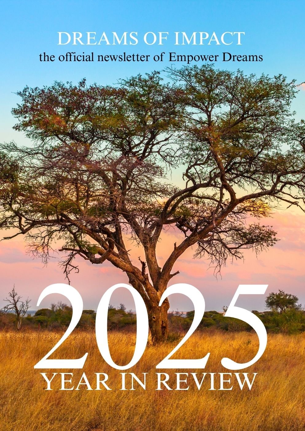 2025 Year In Review - Dreams of Impact newsletter cover